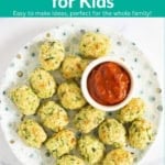 Master list of veggie meals pin.