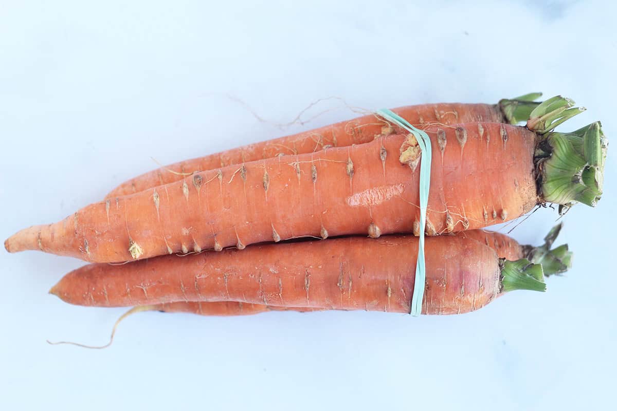 Carrots in a bundle for carrot puree.