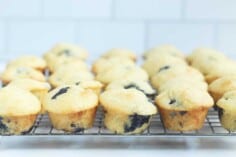 mini-blueberry-muffins-on-wire-rack