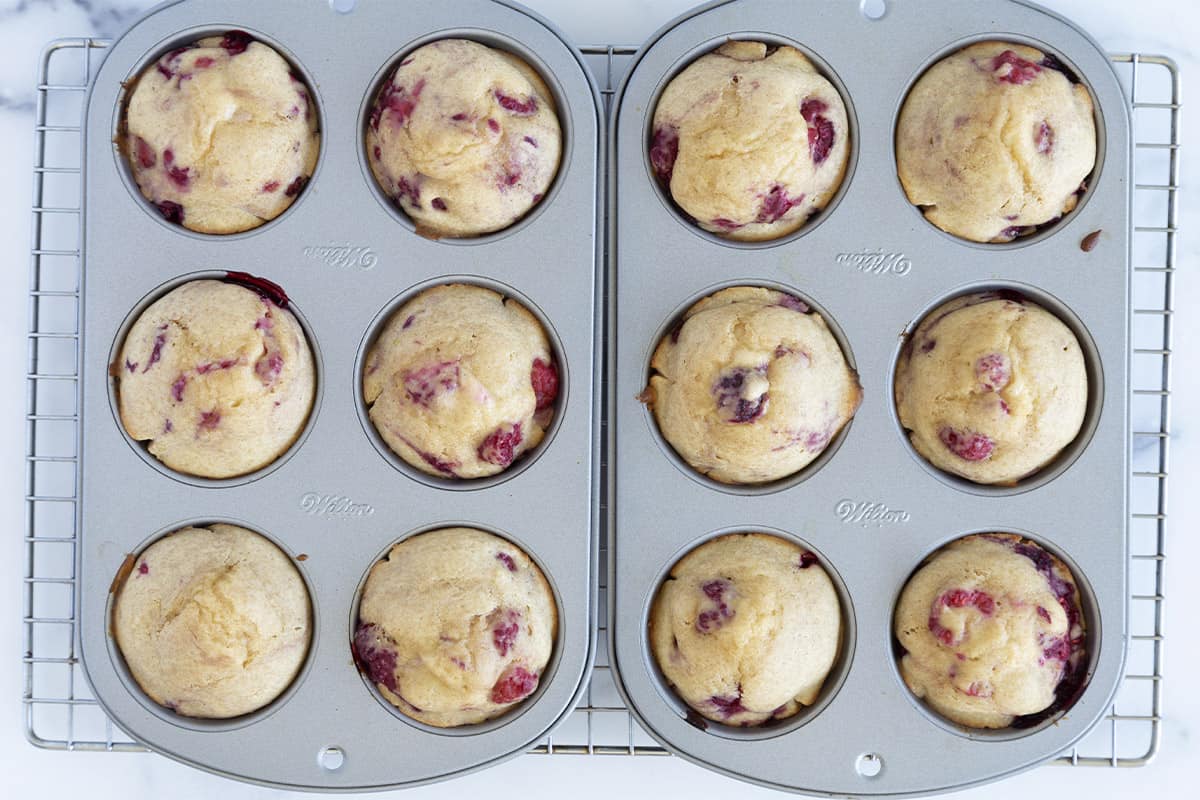 raspberry muffins in pan on rack