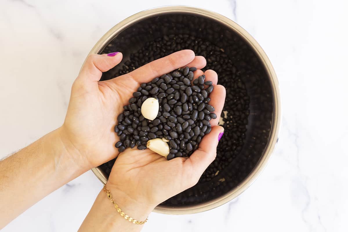 black beans in hands with garlic.