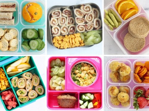 https://www.yummytoddlerfood.com/wp-content/uploads/2022/06/packed-lunch-ideas-featured-500x375.jpg