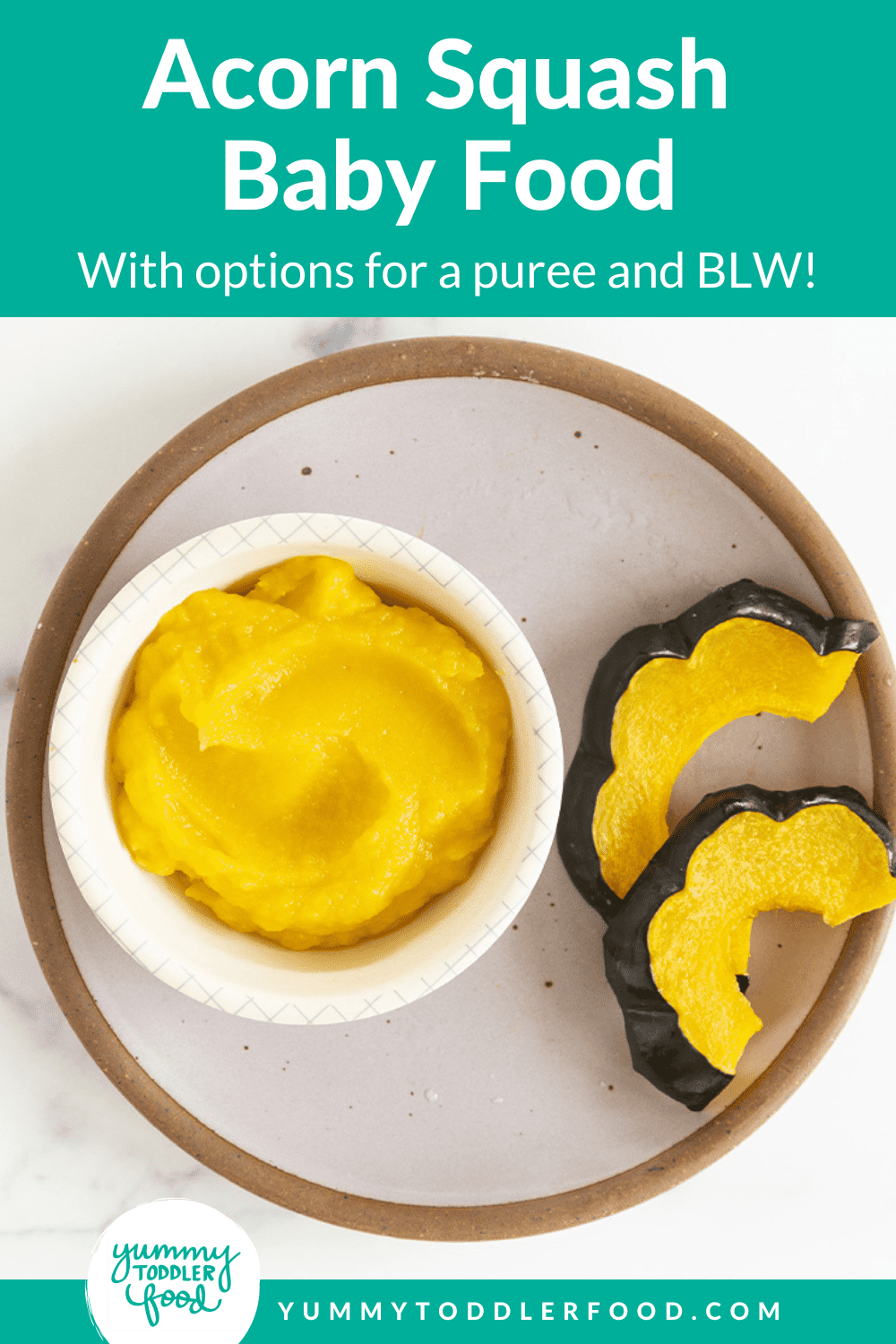 Acorn squash baby food pin.