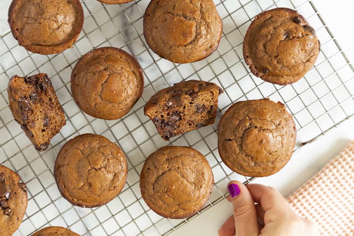 Chocolate muffins on cooling rack with hand.