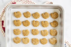 Spiced thanksgiving cookies on baking sheet.