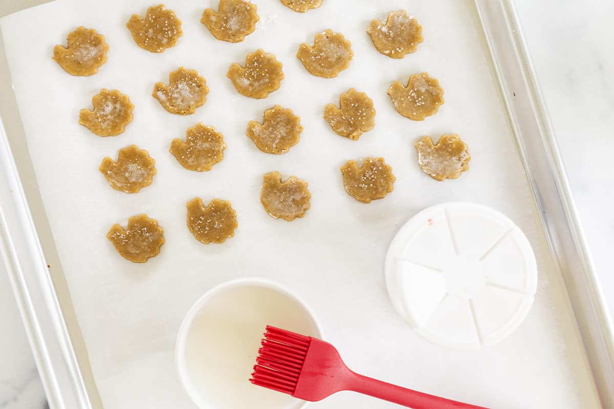 Spiced thanksgiving cookies on baking sheet before baking.