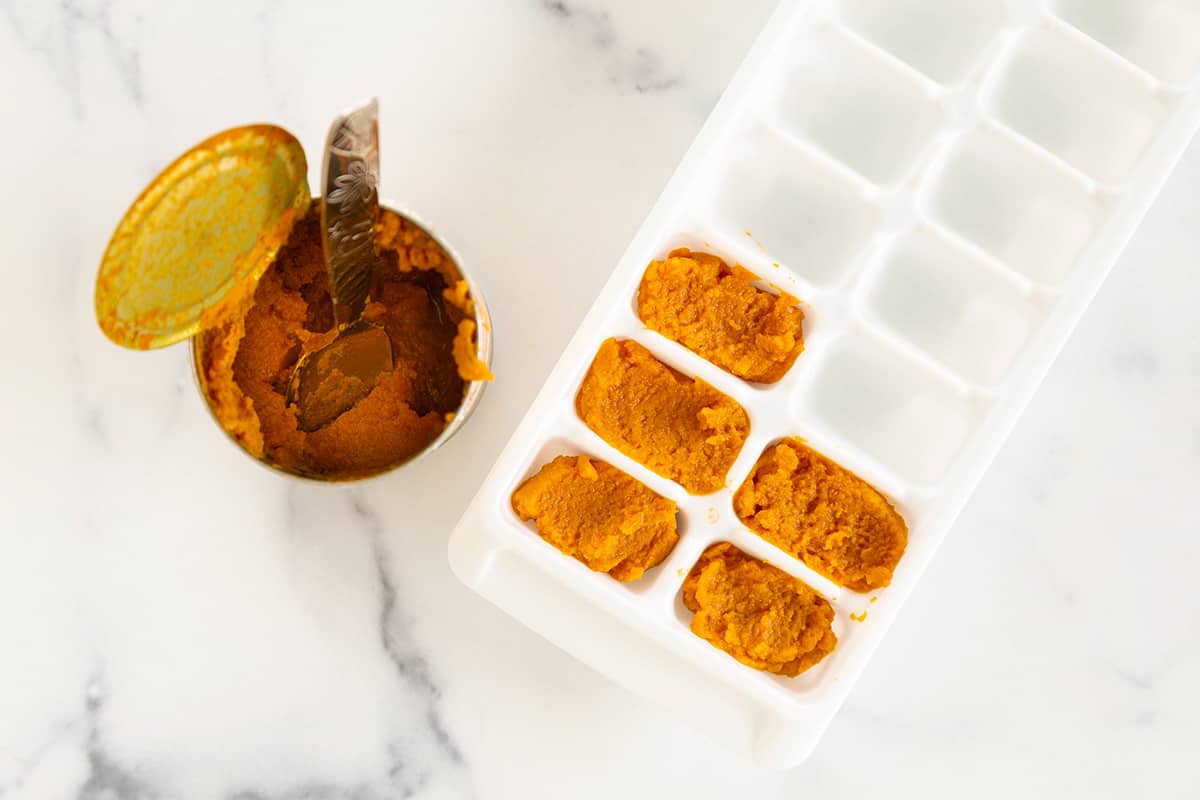 leftover pumpkin in ice cube tray.