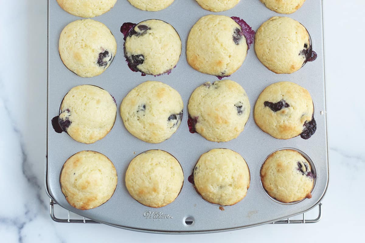 baked mini blueberry muffins in pan.