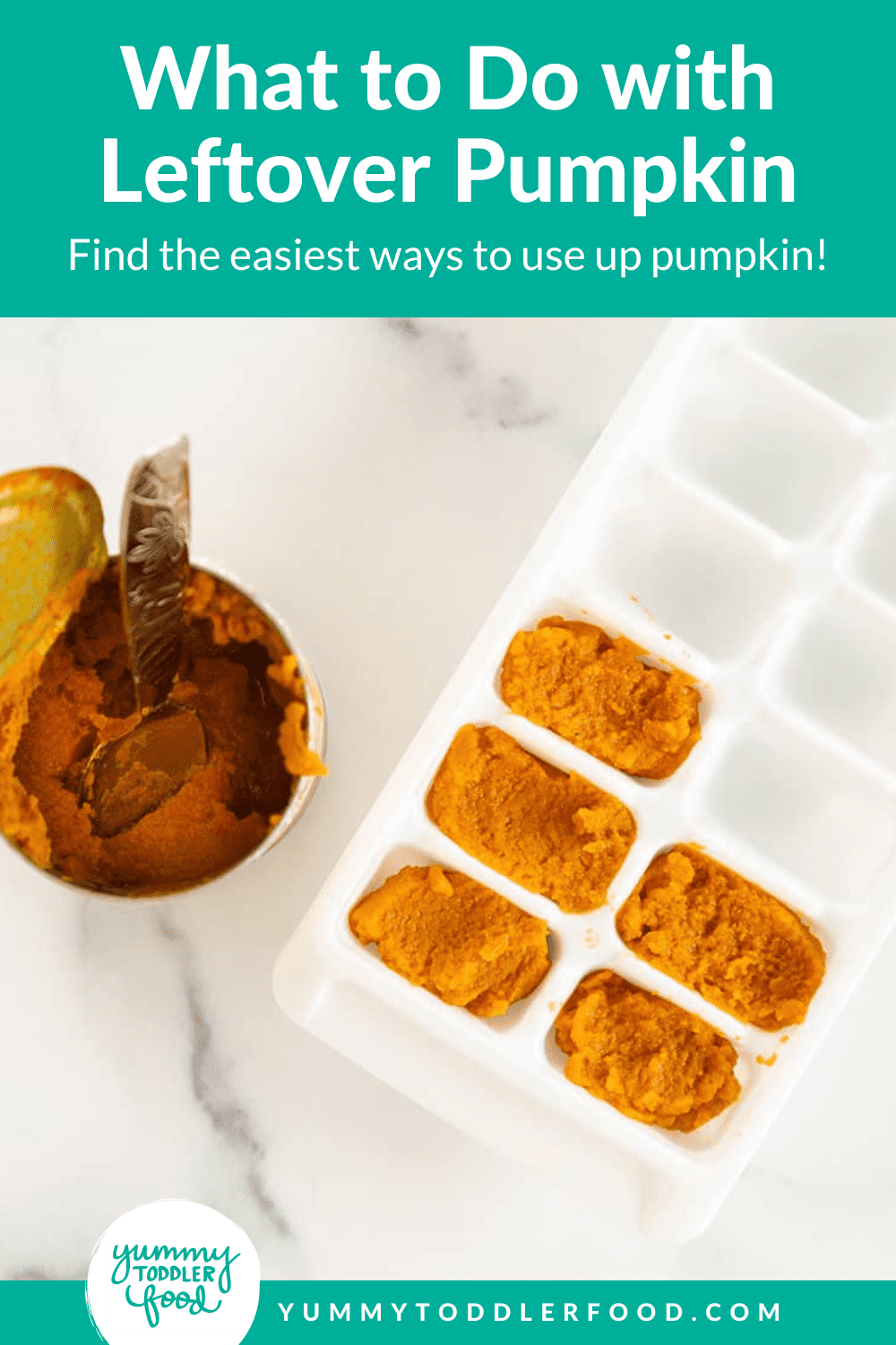 what to do with leftover pumpkin pin