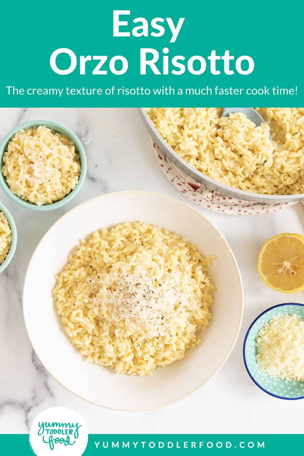 orzo risotto in various bowls and pan with cheese topping. 