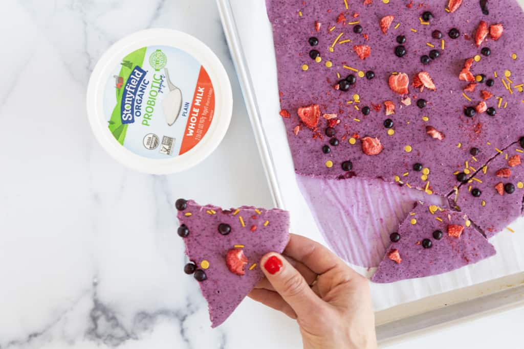 Frozen Yogurt Bark Yummy Toddler Food