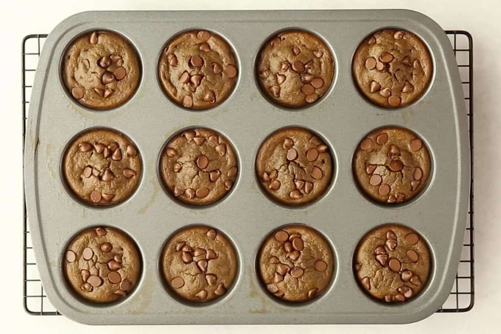 baked chocolate protein muffins in pan.