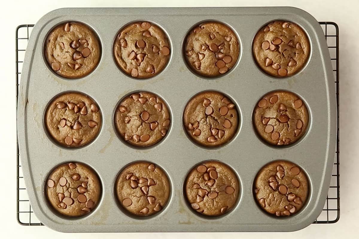 baked chocolate protein muffins in pan.