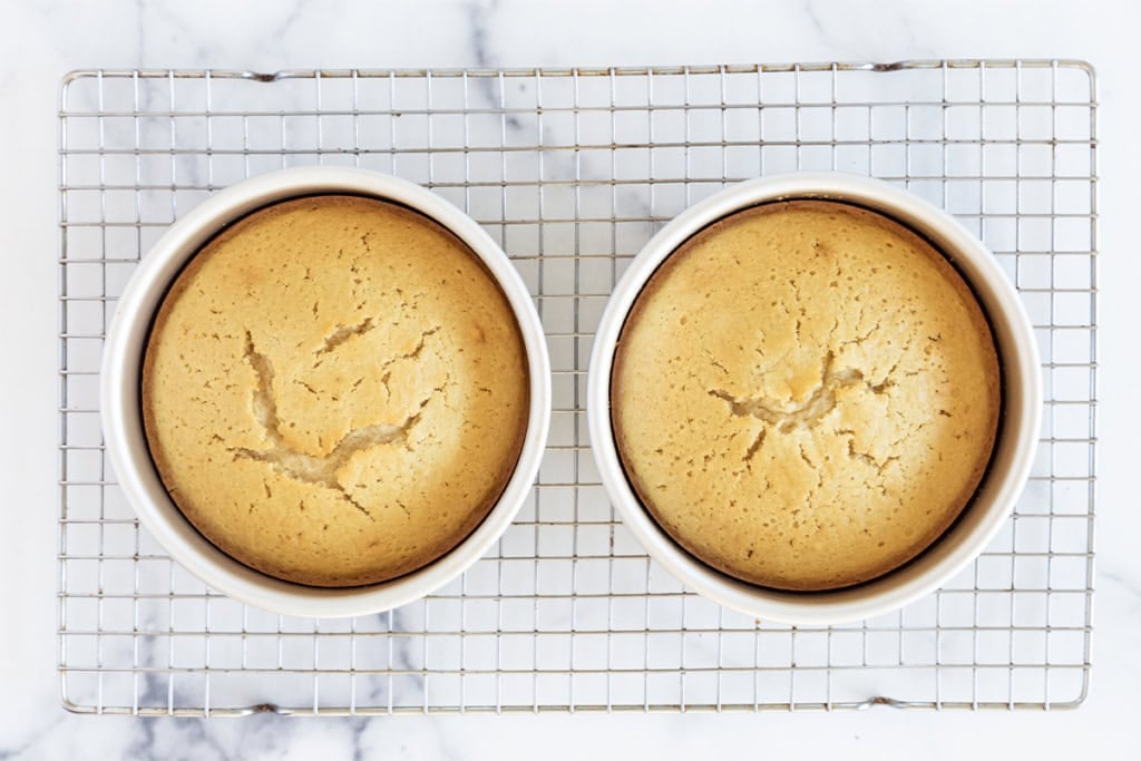 Two vanilla cakes on cooling rack.