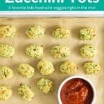 favorite zucchini tots pin.