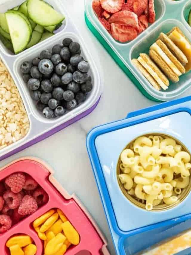 Favorite Kids Lunches - Yummy Toddler Food