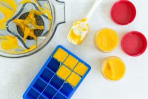 Butternut Squash Baby Food Puree (With Make-Ahead Tips)