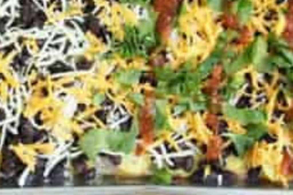 Baked nachos topped with lettuce and tomatoes.