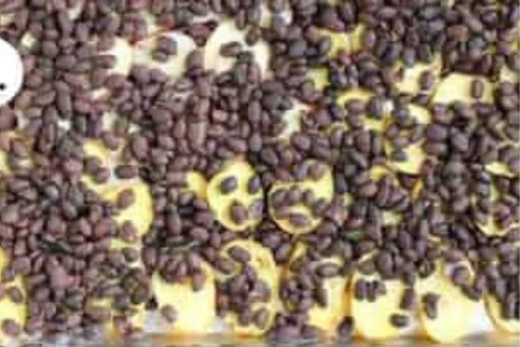 Baked nachos being added to a sheet pan with beans.