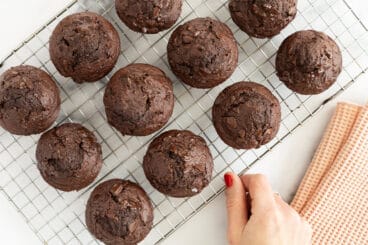 chocolate muffins on wire rack with hand.
