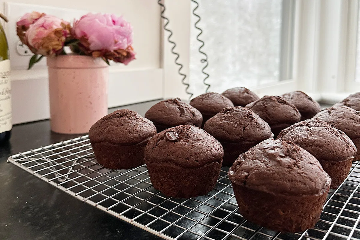 Chocolate muffins on cooling rack. 