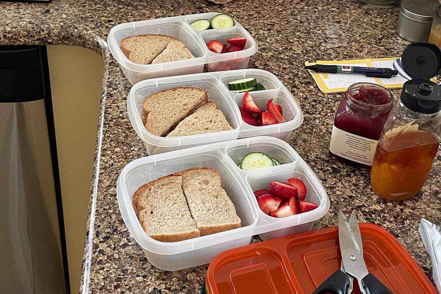 Packed lunch boxes with sandwiches and fruit.