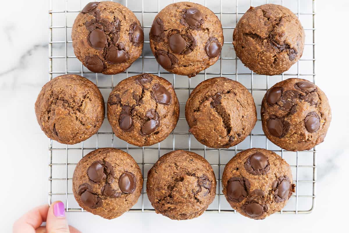 Chocolate peanut butter muffins cooling on a rack.