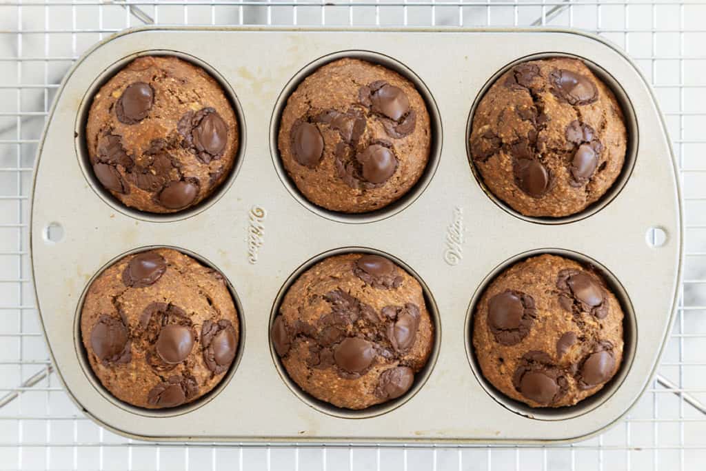 Chocolate peanut butter muffins in muffin pan after baking.