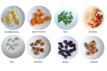 iron rich foods for kids and babies on white plates in grid of eight images.