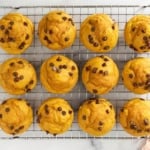 Pumpkin protein muffins in muffin pan on cooling rack.