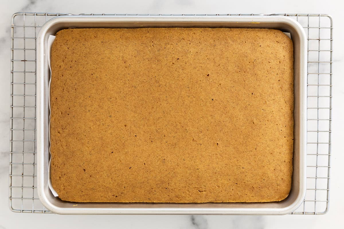 Pumpkin Protein pancakes baked in sheet pan.