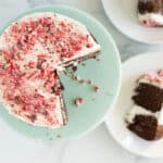 chocolate peppermint cake on teal cakestand.