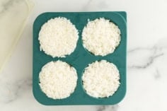 Rice in freezer container before freezing.