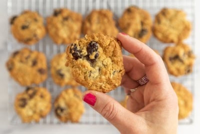 Hand holding cherry chocolate chip cookie.