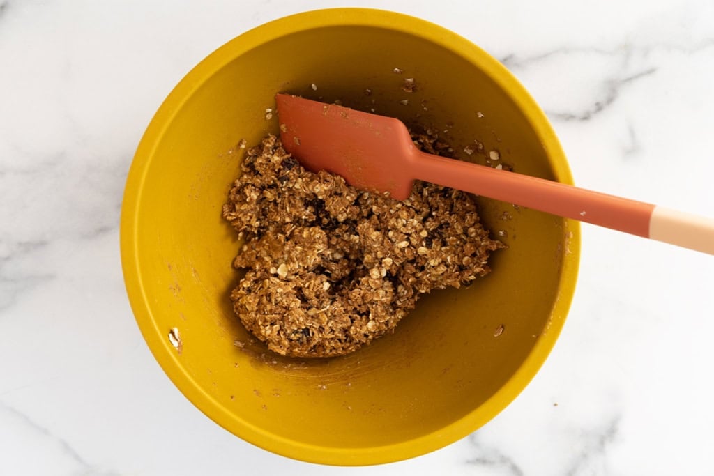 Lactation Bites (10 Minutes to Make)