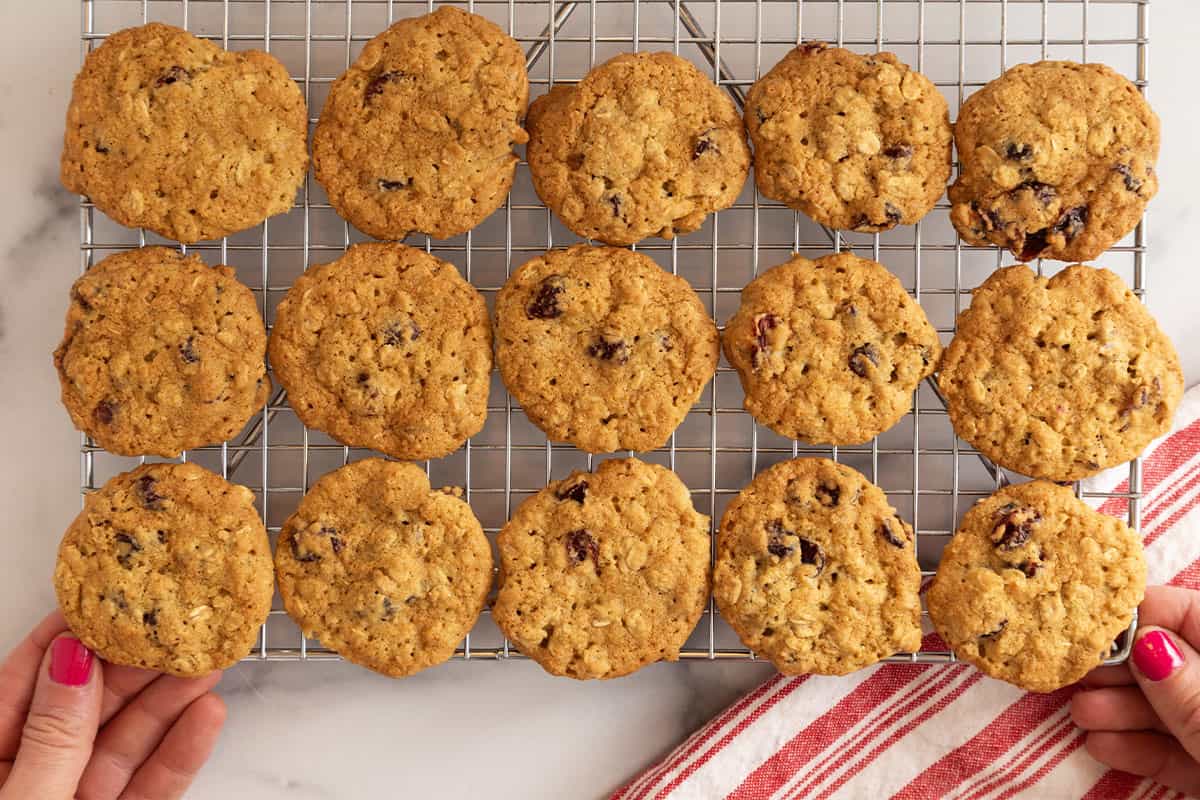 Cranberry oatmeal cookies on cooking rack.