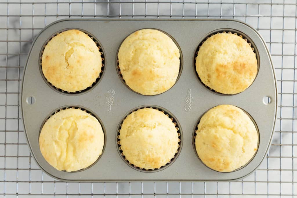 Yogurt cupcakes in muffin pan after baking.