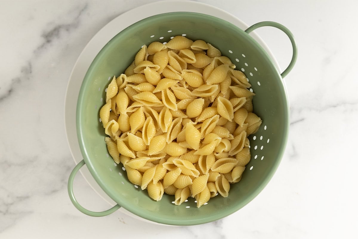 Shell noodles in strainer for simple mac and cheese.