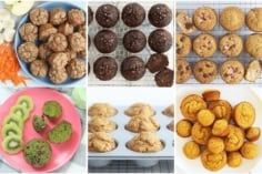 Hidden Veggie Muffin recipes.