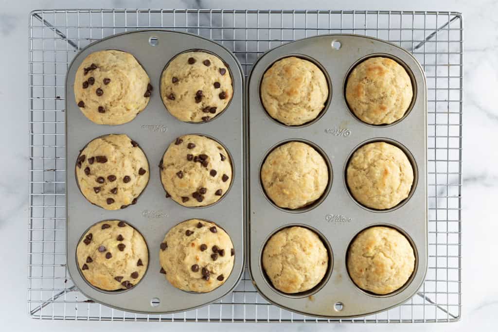Greek yogurt banana muffins in muffin pans after baking.