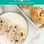 blueberry bagels pin.