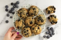 Blueberry oatmeal muffins on plate.