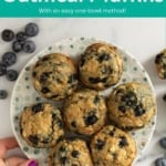 blueberry oatmeal muffins pin.