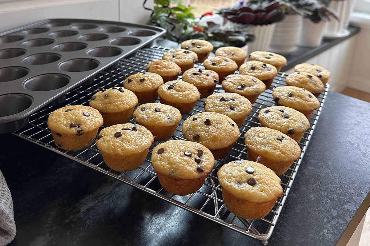 mini chocolate chip muffins on counter.
