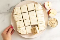 Pieces of apple oatmeal cake on plate with apple and oats on side.