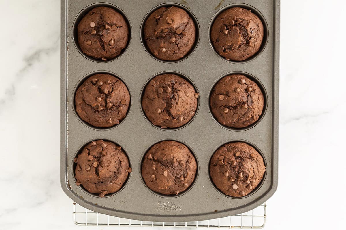 Baked chocolate pumpkin muffins in a mini muffin pan.
