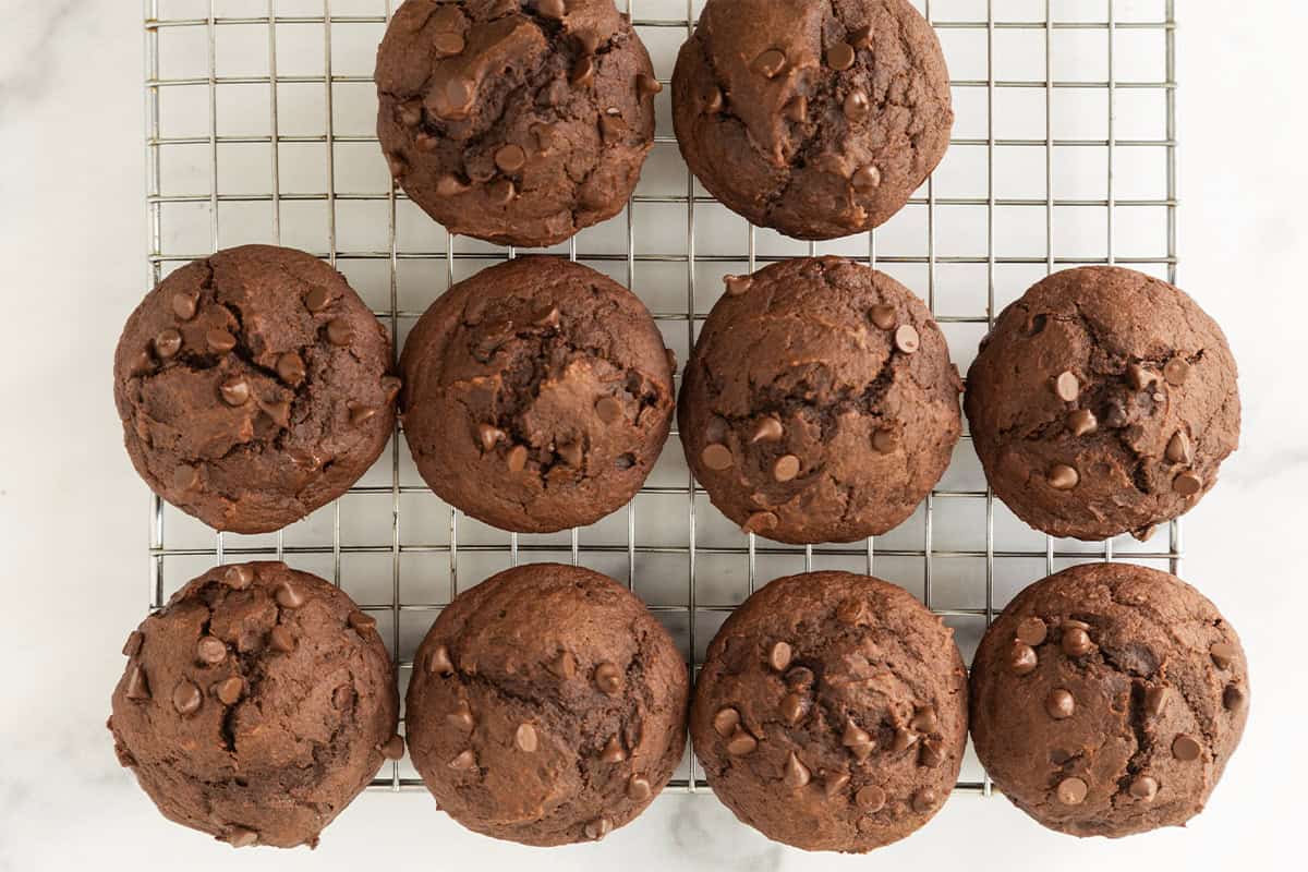 Chocolate pumpkin muffins with chocolate chips cooling on a wire rack.