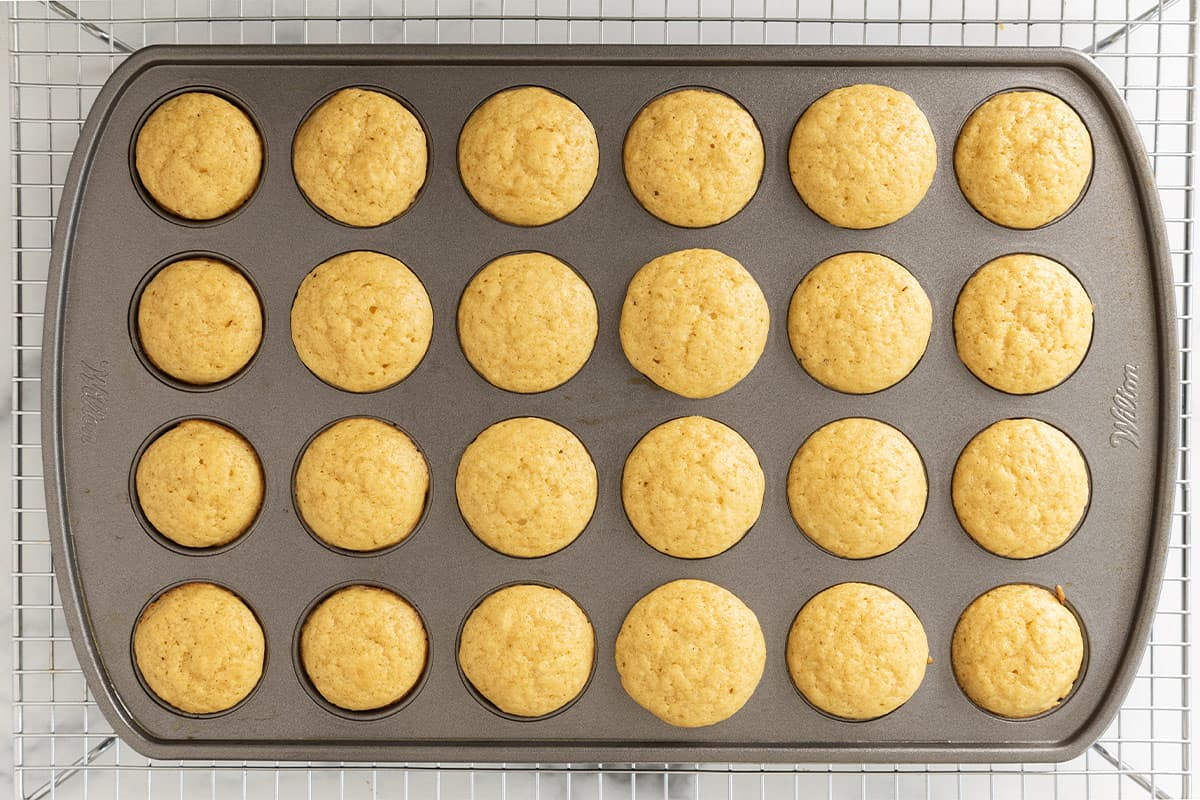 Baked mini vanilla muffins in a muffin pan on a cooling rack.