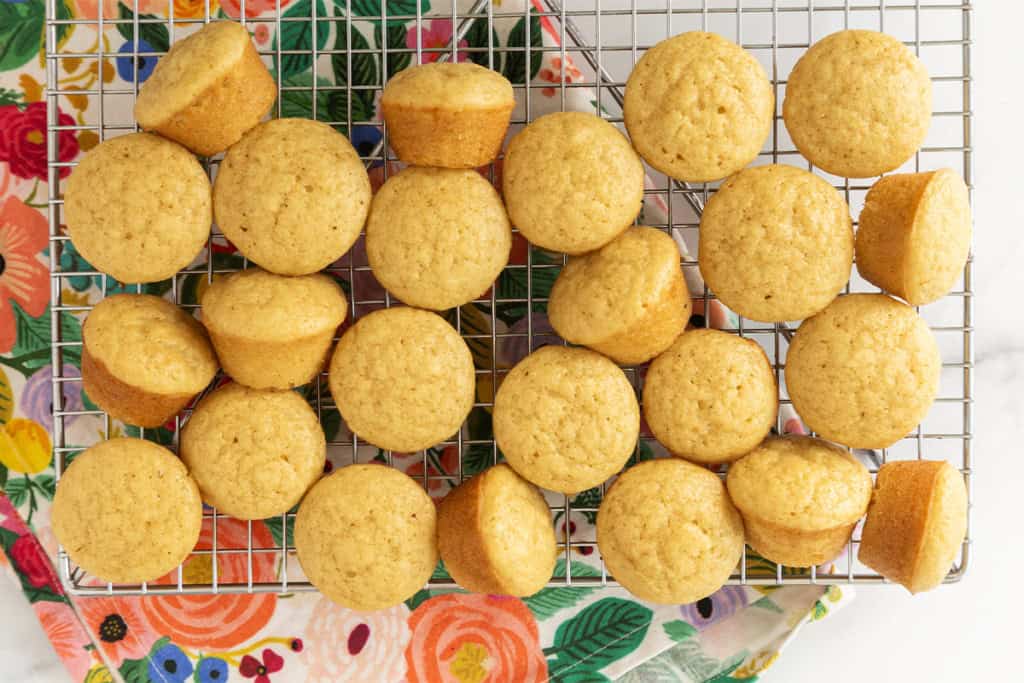 Mini vanilla muffins cooling on a wire rack.