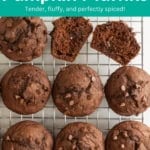 Chocolate pumpkin muffins pin.